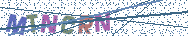 Gib die Buchstaben aus dem Bild ein