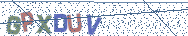 Gib die Buchstaben aus dem Bild ein