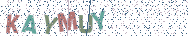 Gib die Buchstaben aus dem Bild ein