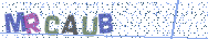 Gib die Buchstaben aus dem Bild ein