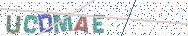 Gib die Buchstaben aus dem Bild ein