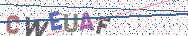 Gib die Buchstaben aus dem Bild ein