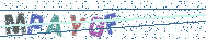 Gib die Buchstaben aus dem Bild ein