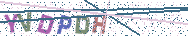 Gib die Buchstaben aus dem Bild ein