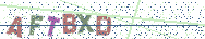 Gib die Buchstaben aus dem Bild ein