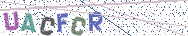 Gib die Buchstaben aus dem Bild ein