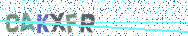 Gib die Buchstaben aus dem Bild ein