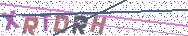 Gib die Buchstaben aus dem Bild ein