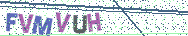 Gib die Buchstaben aus dem Bild ein