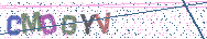 Gib die Buchstaben aus dem Bild ein