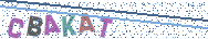 Gib die Buchstaben aus dem Bild ein