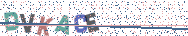 Gib die Buchstaben aus dem Bild ein