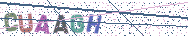 Gib die Buchstaben aus dem Bild ein